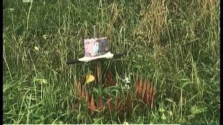 Кладбище домашних животных в Челябинске ликвидируют Кладбище домашних животных в Челябинске ликвидируют