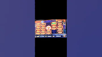 2 500 BETS DROPS 50 000 MAJOR 