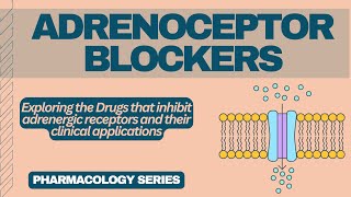 Overview of Adrenoceptor blockers | Pharmacology Series