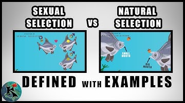 Sexual Selection vs Natural Selection | A Comparison of  | Koaw Nature
