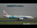 [JAL Jubilee Express] Japan Airlines Boeing 737-800 JA339J landing @ Haneda RWY16L [June 14, 2026]