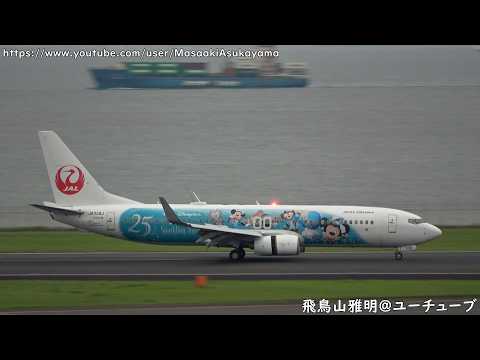 [JAL Jubilee Express] Japan Airlines Boeing 737-800 JA339J landing @ Haneda RWY16L [June 14, 2026]