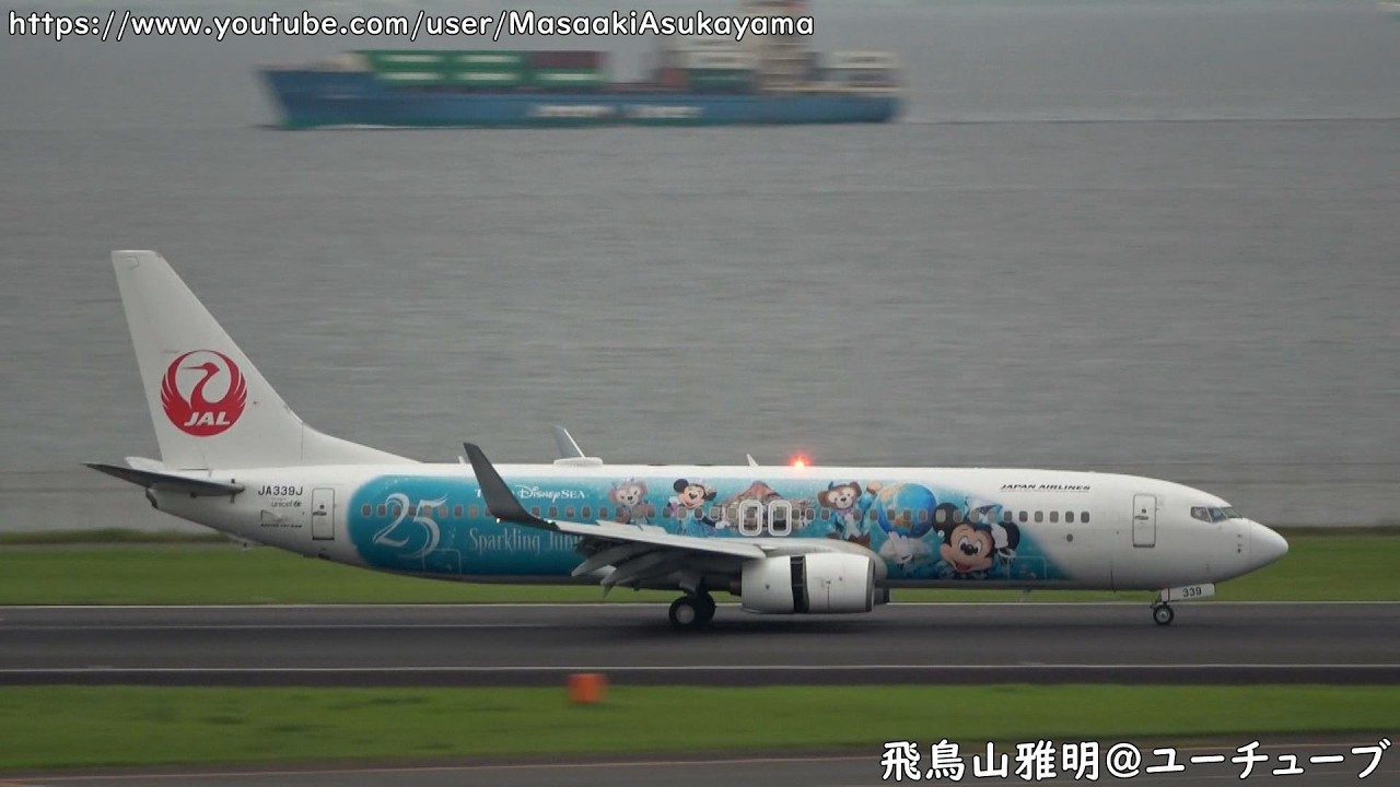 [JAL Jubilee Express] Japan Airlines Boeing 737-800 JA339J landing @ Haneda RWY16L [June 14, 2026]