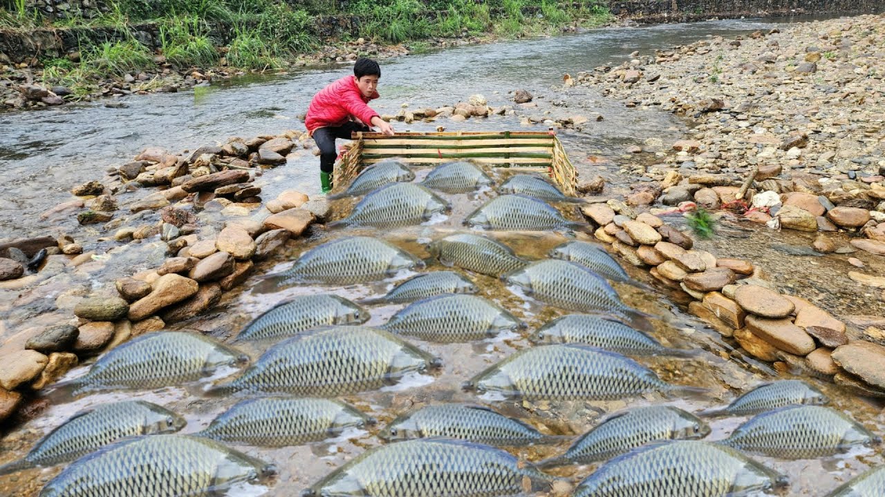 The boy Lam used bamboo to make a fish trap using the traditional ...