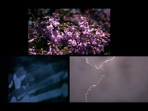 Xenos by Jyoti Mistry (This version of music is by Monthati Masebe)