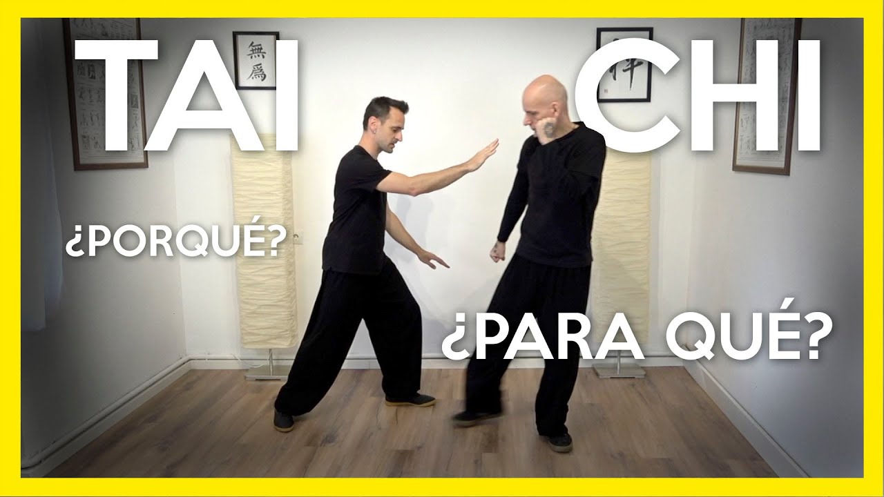 🥊 La verdadera intención del TAI CHI | APLICACIÓN MARCIAL de Cepillar la Rodilla