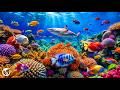 Healing Relaxing Music Inner Balance Deep Peace 