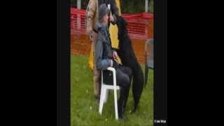 Rolli_10092011_slow_motion.wmv