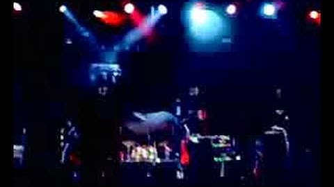 Skip Intro - Rock & Roll (voorpr. Golden Earring)