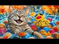 🔴Sweet Dreams🥱💤🙀Cat & Water ASMR