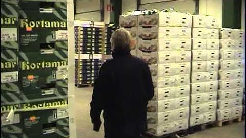 UHF RFID temperature logger in a cold chain process in Sweden