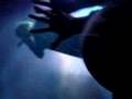 12012 - AnimeNEXT 2007