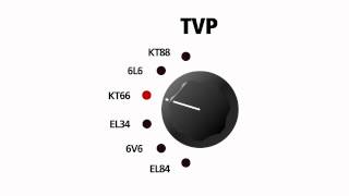 Blackstar® ID:15TVP Amplificador Guitarra Combo 1x10" 15w USB video