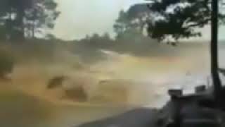 VID 20190622 WA0013