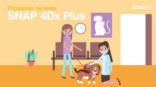 Protocolo de Teste - IDEXX SNAP 4Dx Plus