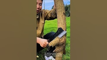 Woodworking: creating a unique wood sculpture