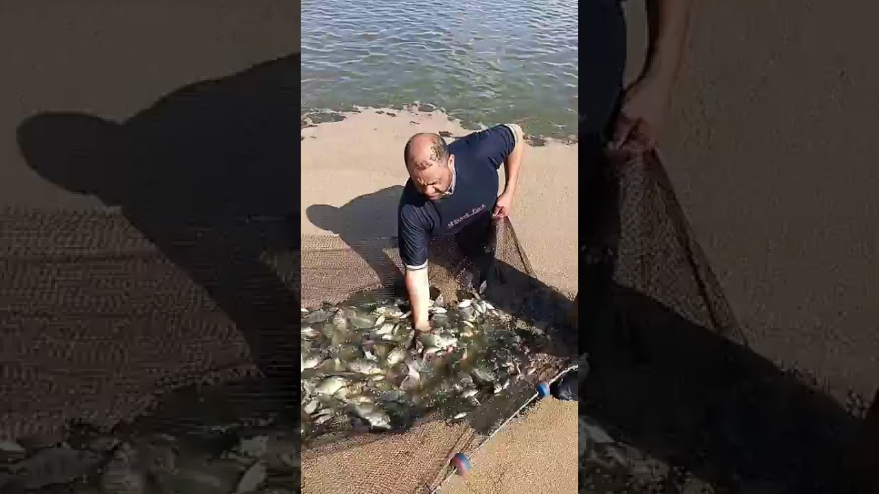 بيرموا الشبك والرزق على الله.. يوم في حياة الصيادين ببحيرة البرلس في كفرالشيخ