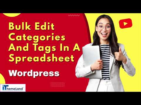 Bulk Edit Categories And Tags In A Spreadsheet / WordPress