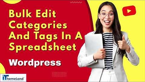 Bulk Edit Categories And Tags In A Spreadsheet / WordPress