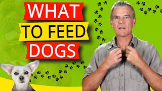 What to Feed Dogs (7 Ways to Improve Your Dogs Diet)