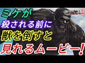 ★限定ムービー？ミケを獣の巨人から助けると追加されるムービー(進撃の巨人2インフェルノ)
