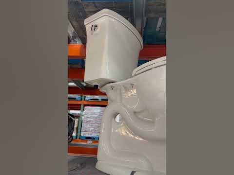 kohler intrepid two piece toilet