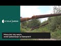 Місяць без газу живуть жителі Дебеславців на Прикарпатті Місяць без газу живуть жителі Дебеславців на Прикарпатті