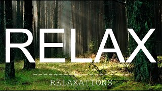 Очищающая Эмбиент музыка для борьбы со стрессом #relax #relaxations #meditation #sleep