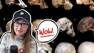 Creationists Don't Understand Transitional Species