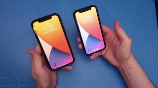 The iPhone Mini - How small is it? Let’s compare!