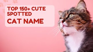 Top 150+ Spotted Cat Names: Unique and Adorable Picks!