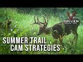 Summer Trail Camera Strategies | Pat's Tips in the Field