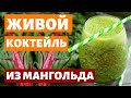 МАНГОЛЬД ЖИВОЙ ЗЕЛЕНЫЙ КОКТЕЙЛЬ. МАНГОЛЬД ПОЛЬЗА И РЕЦЕПТЫ ПРИГОТОВЛЕНИЯ. ВИТАМИННЫЙ КОКТЕЙЛЬ.