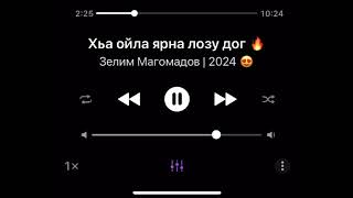 Хьа ойла ярна лозу дог 🔥 | Зелим Магомадов 2024 | НОВИНКА 😍