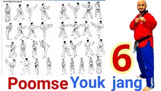 Taekwondo Poomse 6 Taegeuk Youk Jang.بومسي السادس تحايكوك يوك جانغ مع أسماء الحركات صوت وصوره