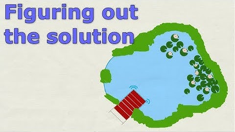 Lily Pond - Logic Puzzle - Job Interview Question With Answer and How to Figure it out