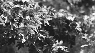 Gidge - Huldra Other Version Atomnation