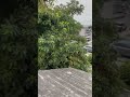 Roof Inspection Service City of Riverside, California 909-784-LEAK