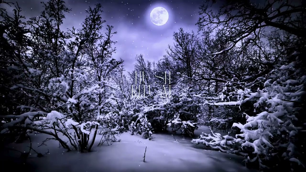 (NO ADS) Winter Snow ASMR ❄️ | Peaceful Snowfall Sounds for Sleep (1 Hour)