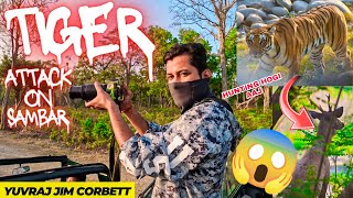 TIGER ATTACK ON SAMBAR DEER 😲 DHIKALA ZONE SAFARI MAIN MAHOOL BN GYA 🥳 #yuvrajjimcorbett