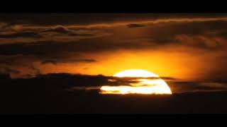 Simba The Lion King Beautiful Good Morning Whstsapp Status