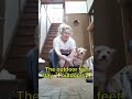 Japan Household Rules (I NEVER Thought I'd Do This💢) #japanlife #DogsinJapan