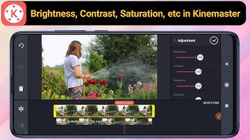 How to adjust Brightness, contrast, saturation, hue, vibrance, temperature and more in Kinemaster