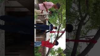 A gay meri maot ka tamach dekhne      irsan   ali  and nanapatkal  2018