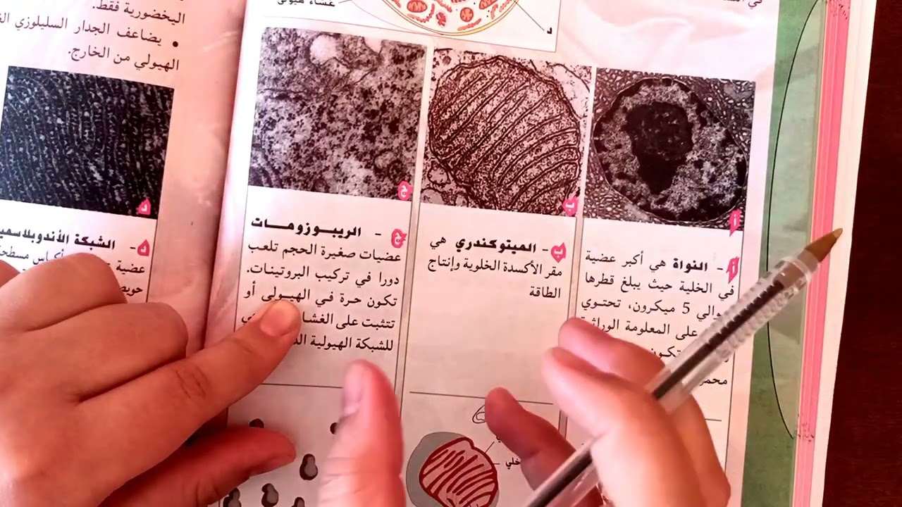دراسة الخلية بالمجهر الالكتروني/شرح مبسط