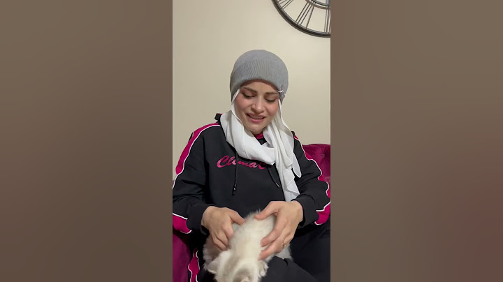 قطة تتكلم شوفو شو بدها😂😂 ام سيف ونانو