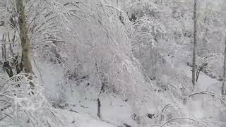 chitrali sitar saz .  kuloom karimabad chitral