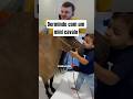 Dormindo com um mini cavalo