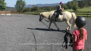 Longeing Lesson