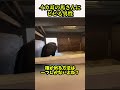 このイカ耳、絶対噛むやつだ